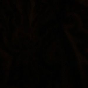 Meet your Posher, Terrie